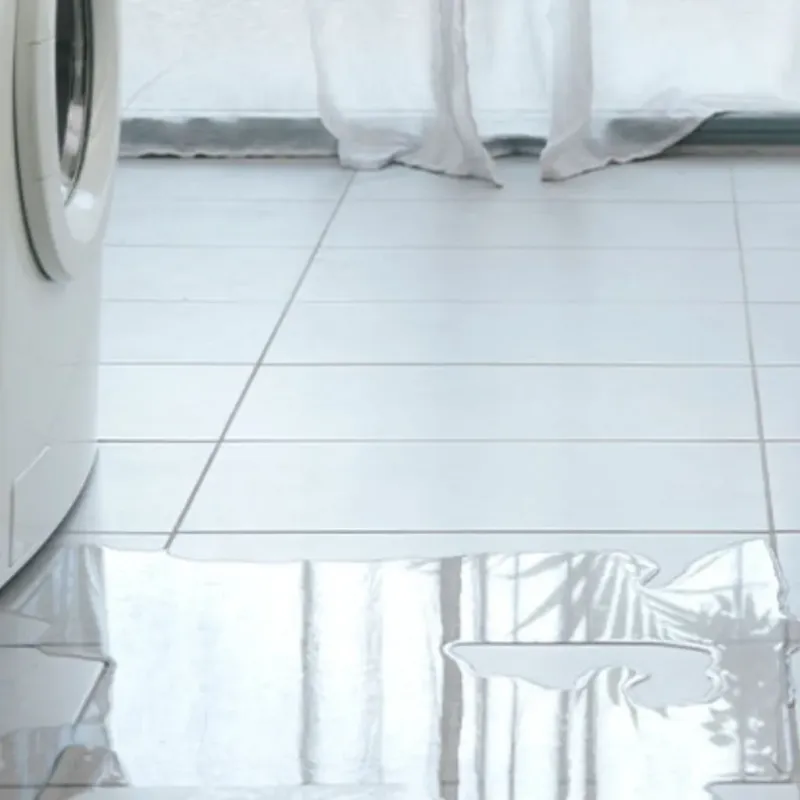 Appliance Leak Cleanup in West Gate, FL