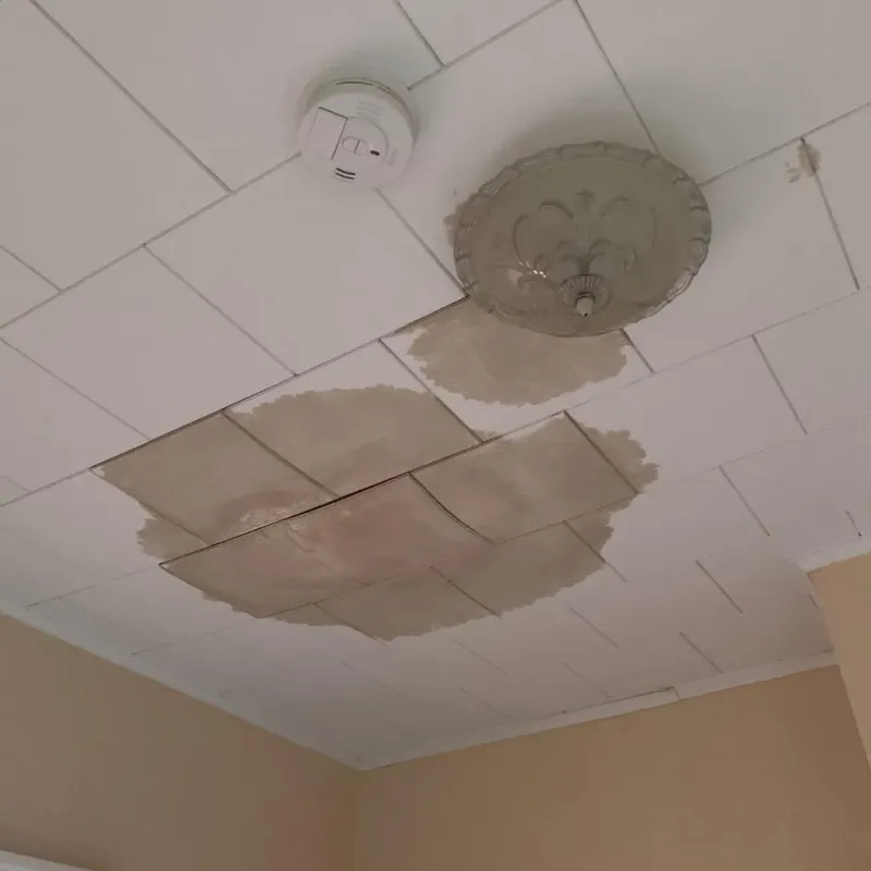 Ceiling Water Damage Repair in West Gate, FL
