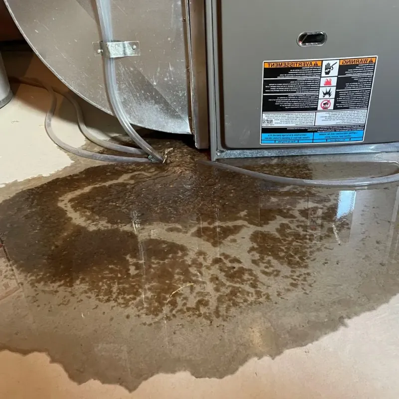 Pipe Burst and Leak Restoration in West Gate, FL