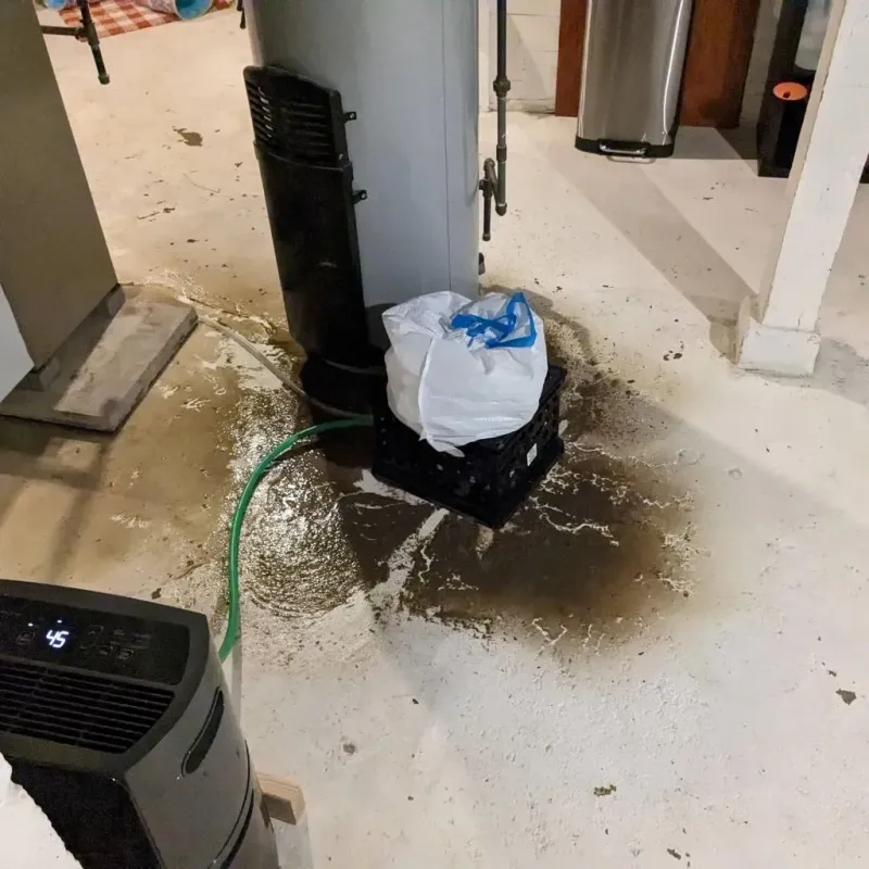 Sewage Backup Cleanup Service in West Gate, FL